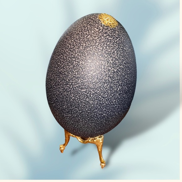 𝑯𝒂𝒏𝒅𝒎𝒂𝒅𝒆 Emu Egg “Congratulations” Gift - Picture 11 of 14